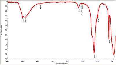 Investigation of Angiogenesis and Wound Healing Potential Mechanisms of Zinc Oxide Nanorods